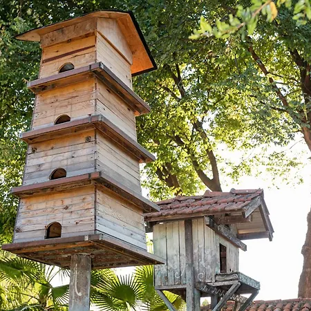 Club Tuana Ośrodek wypoczynkowy Fethiye